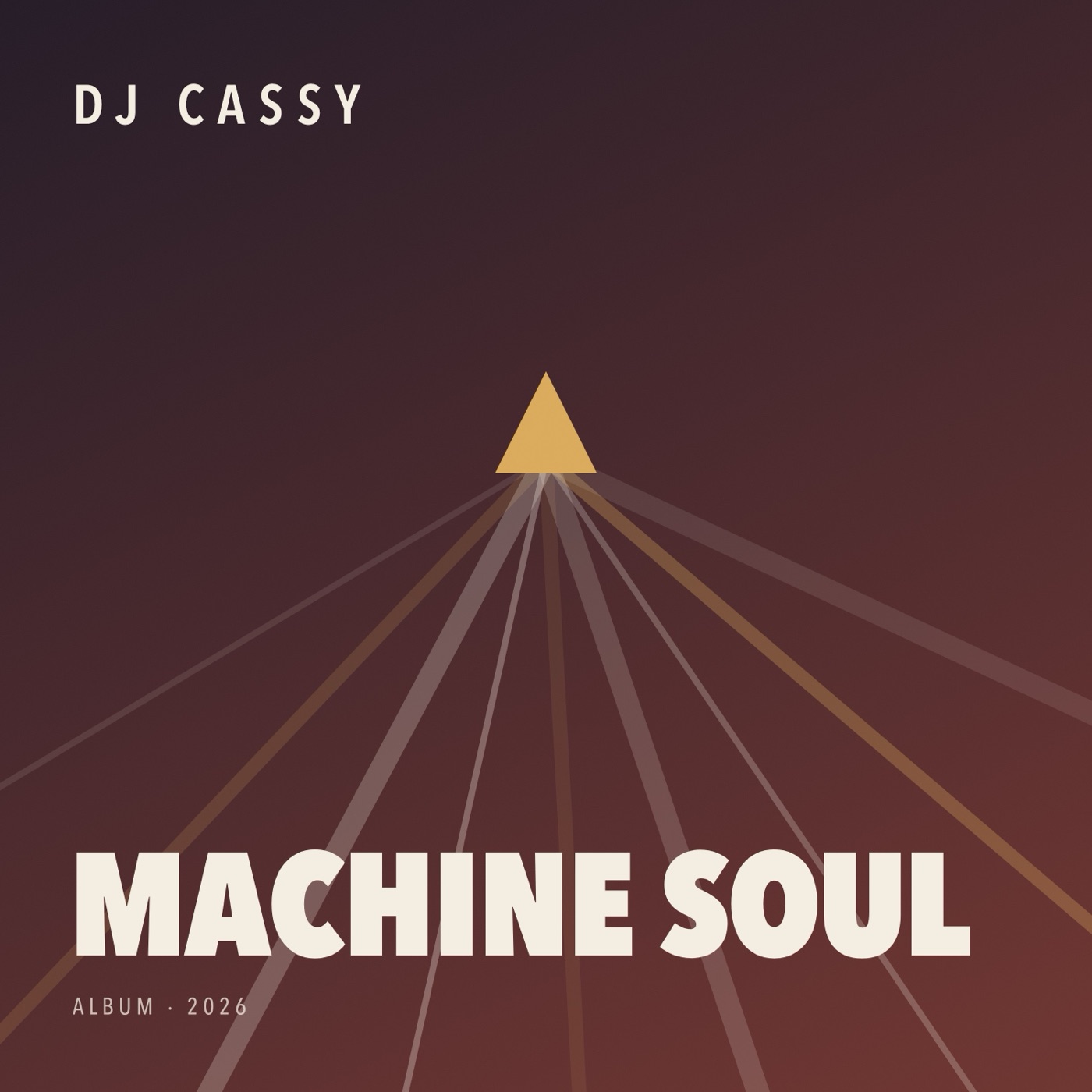Machine Soul by DJ Cassy, album cover